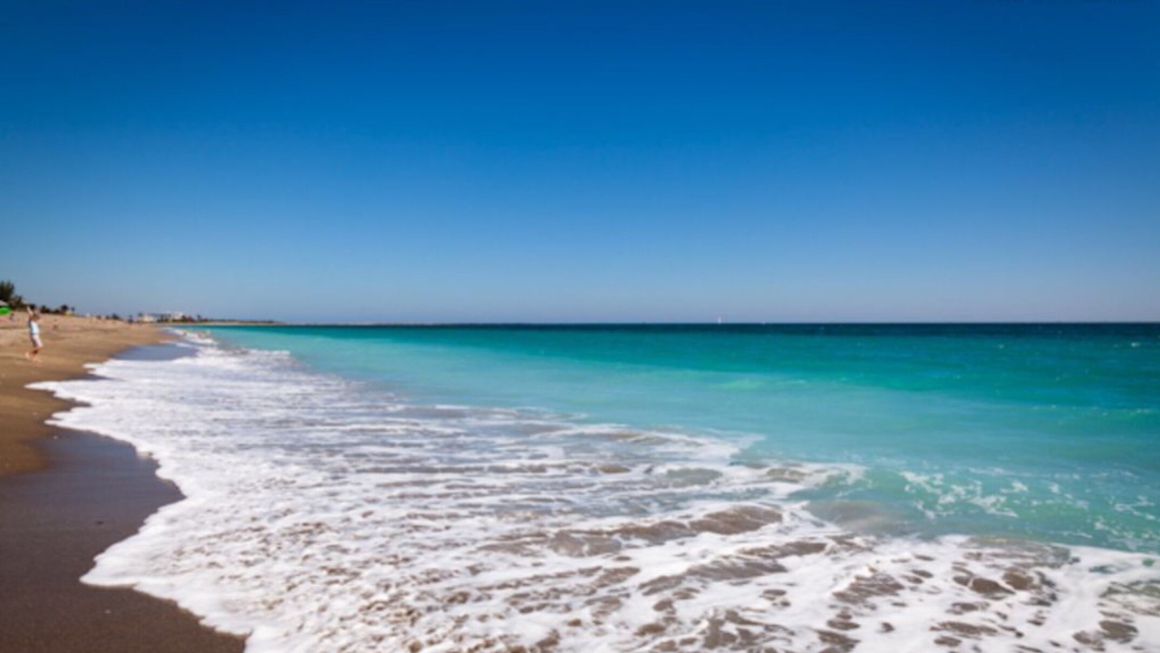 Photo of Others in Jensen Beach