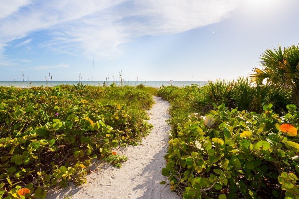 Photo of Others in Sanibel