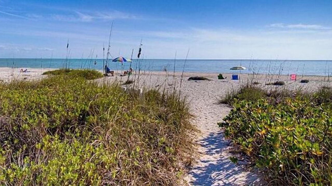 Photo of Others in Sanibel