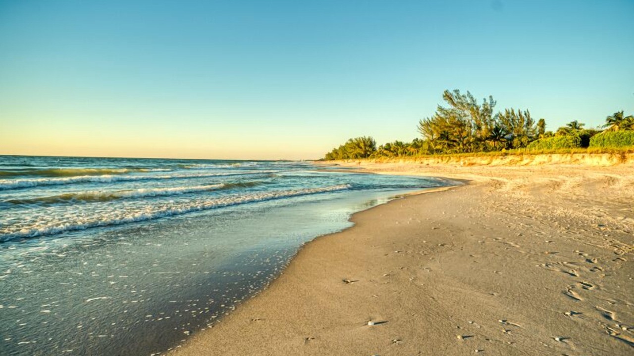 Photo of Others in Captiva