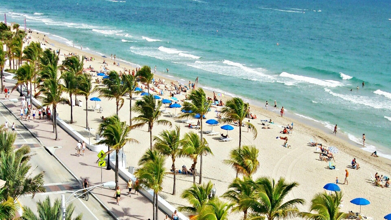 Photo of Others in Clearwater