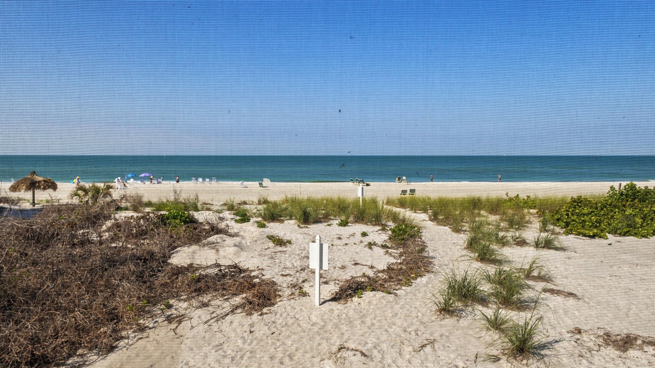Photo of Others in Whitney Beach