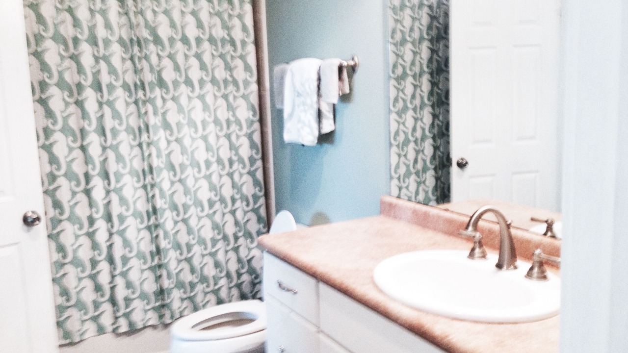 Photo of Bathroom in St. George Island