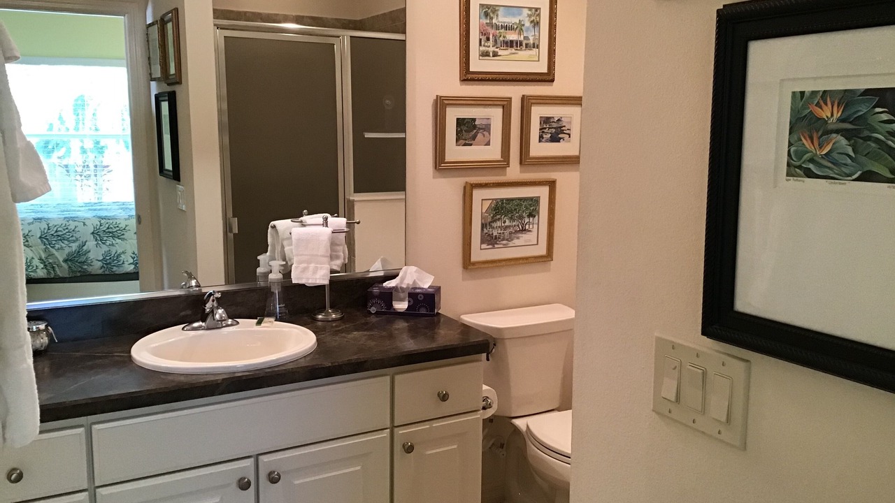 Photo of Bathroom in Village of Collier