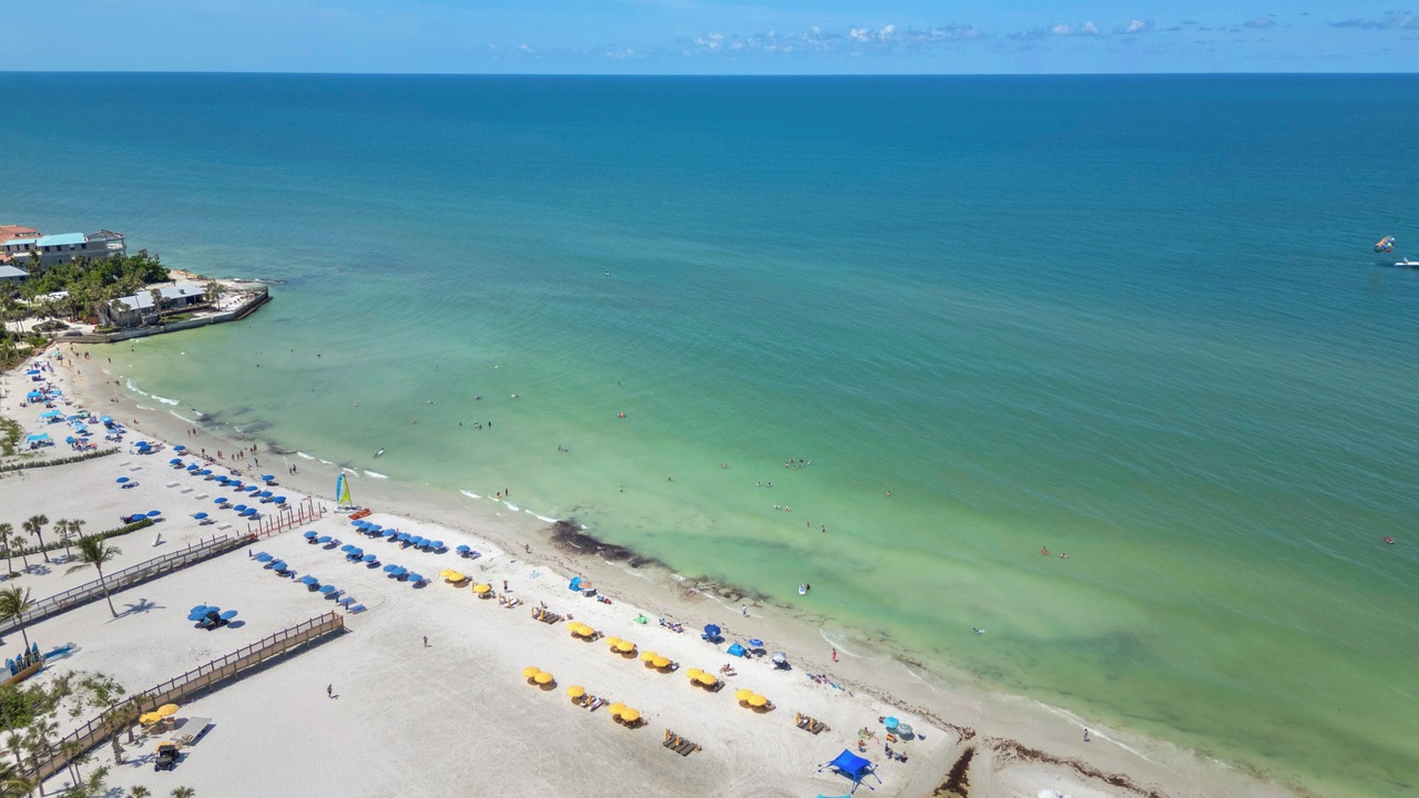 Photo of Others in Siesta Key