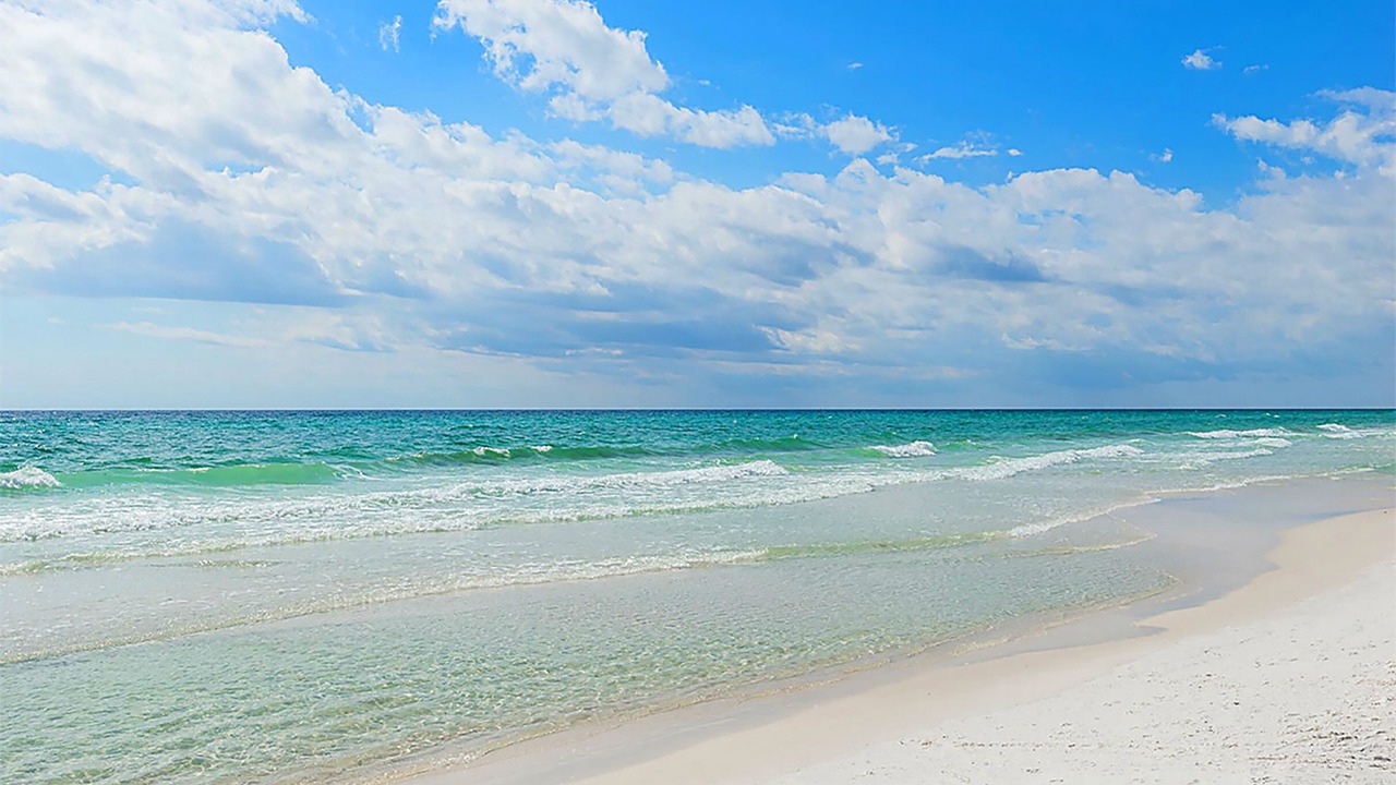 Photo of Others in Dune Allen Beach
