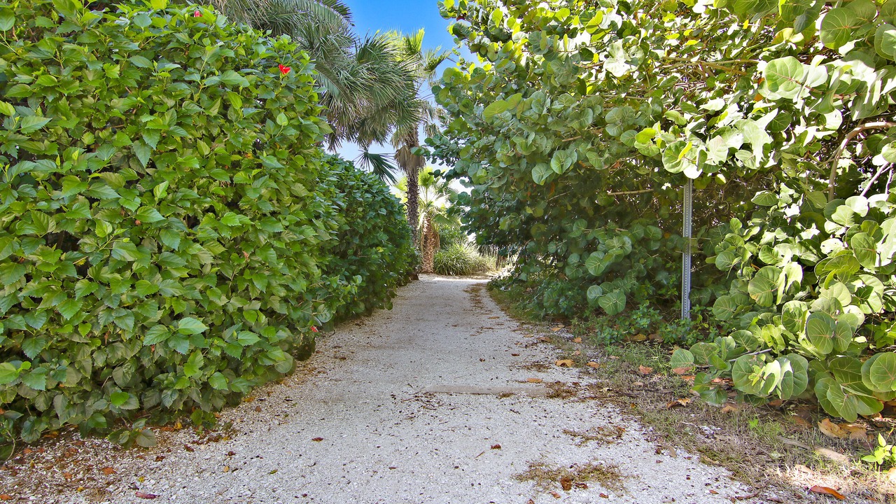 Photo of Outdoor in Pass-a-Grille