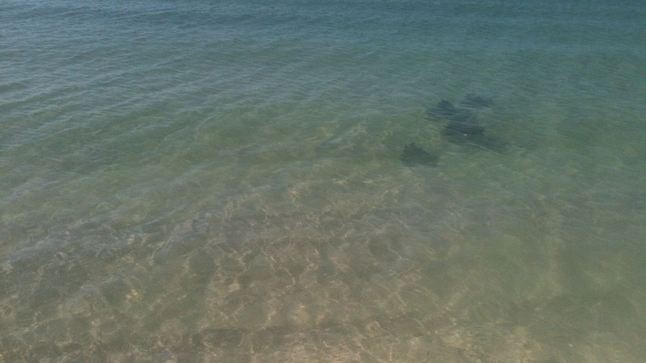 Photo of Others in Whitney Beach