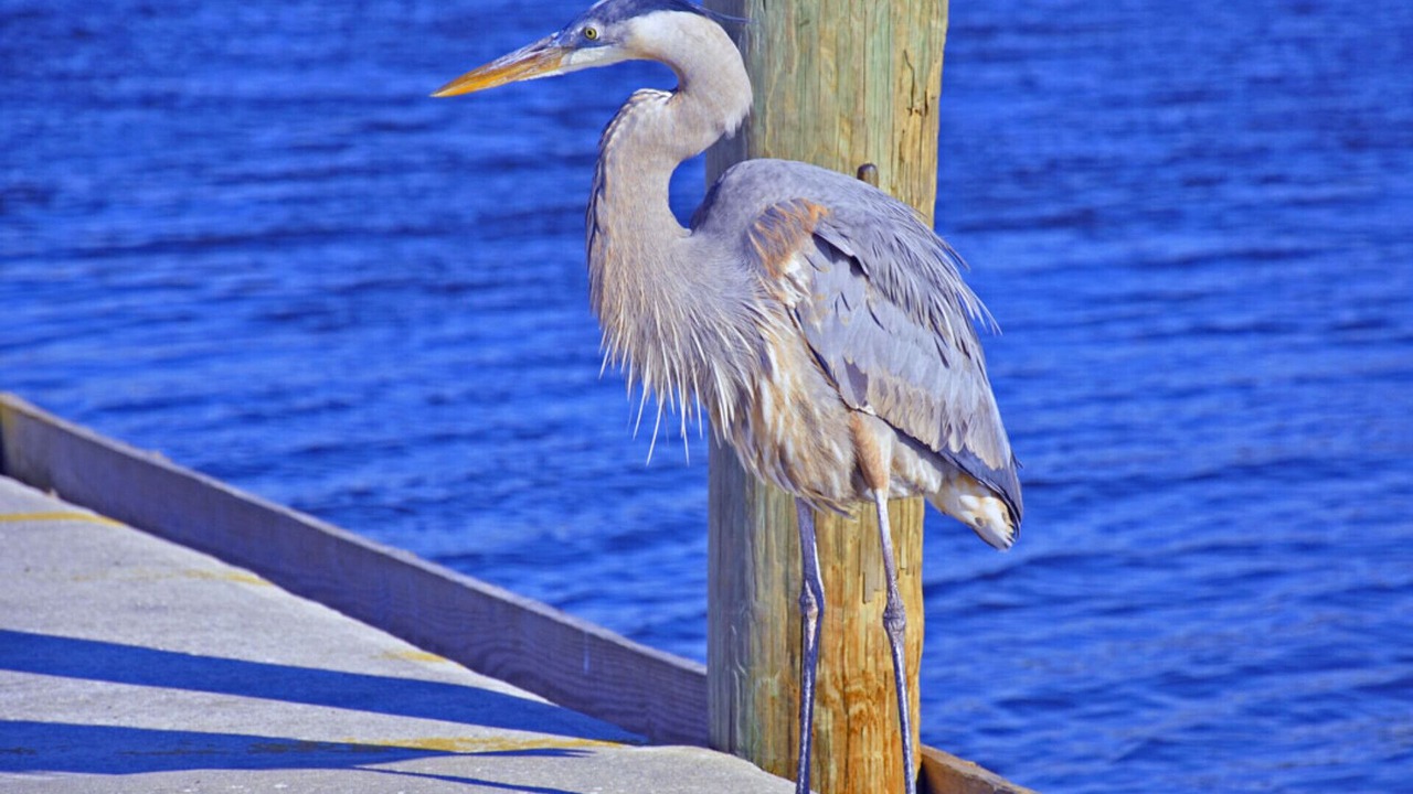 Photo of Others in Whitney Beach