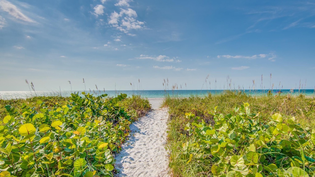 Photo of Others in Belleair Beach