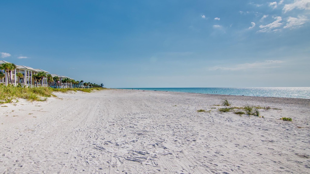 Photo of Others in Belleair Beach