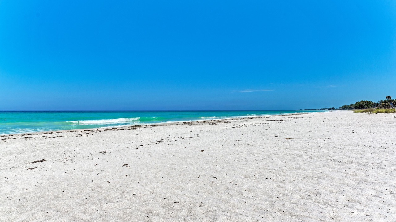 Photo of Others in Longboat Key