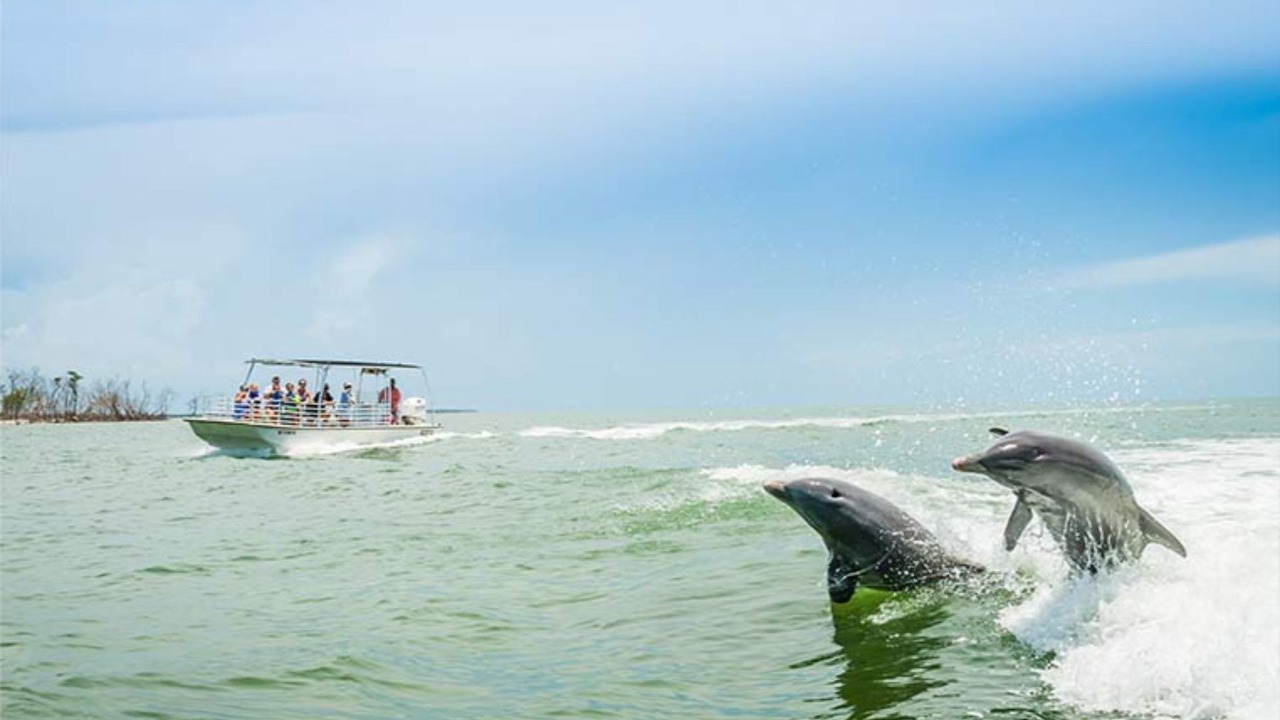 Photo of Others in Marco Island