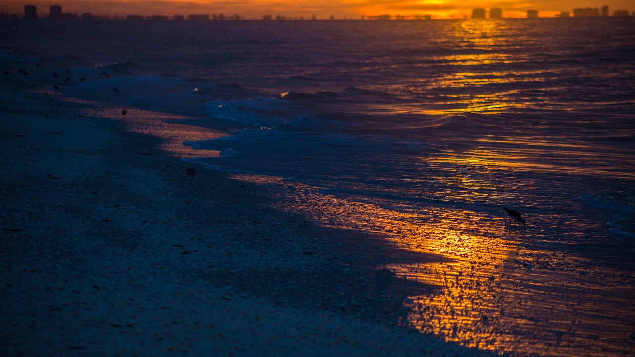 Photo of Others in Sanibel