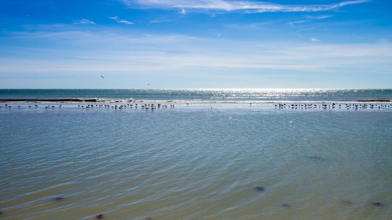 Photo of Others in Sanibel