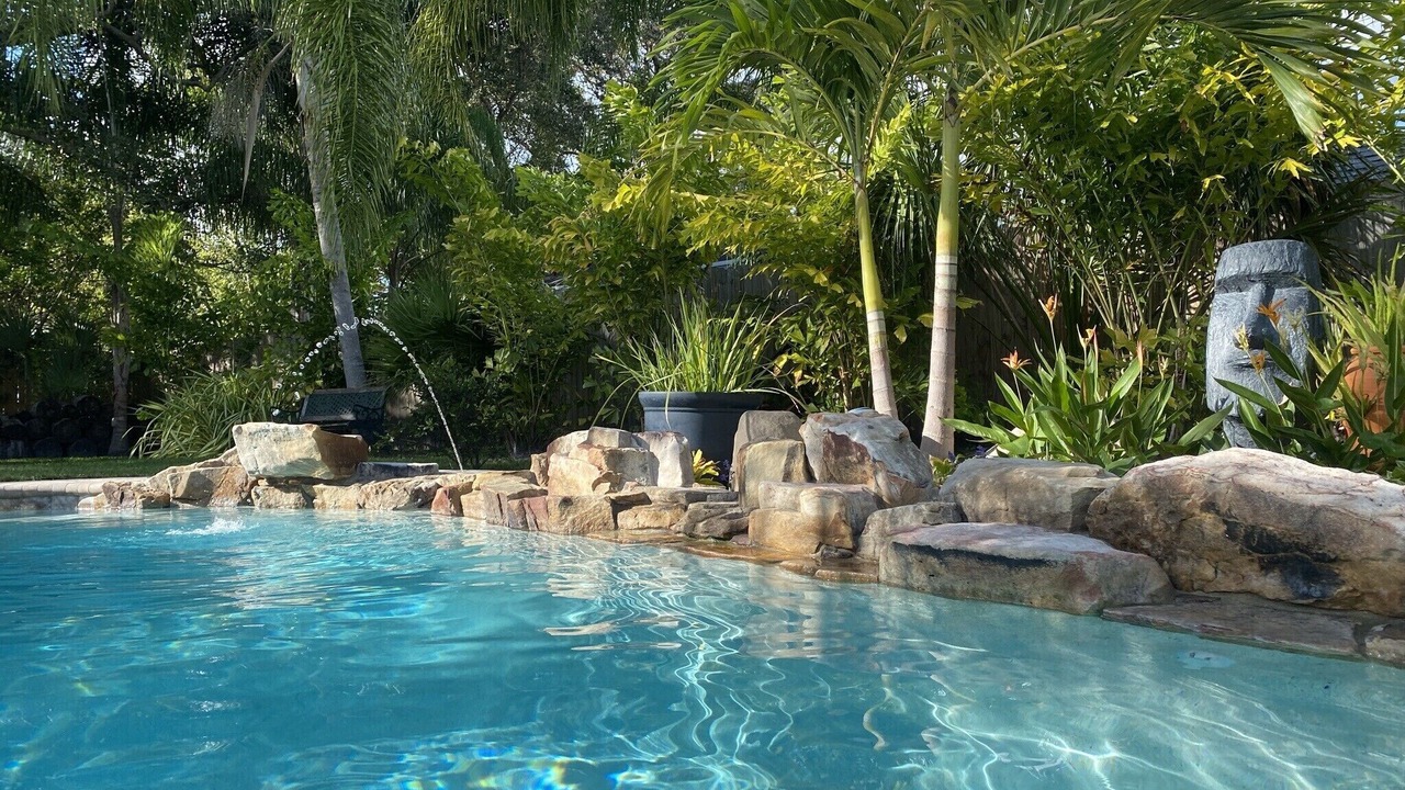Photo of Others in Palm Harbor