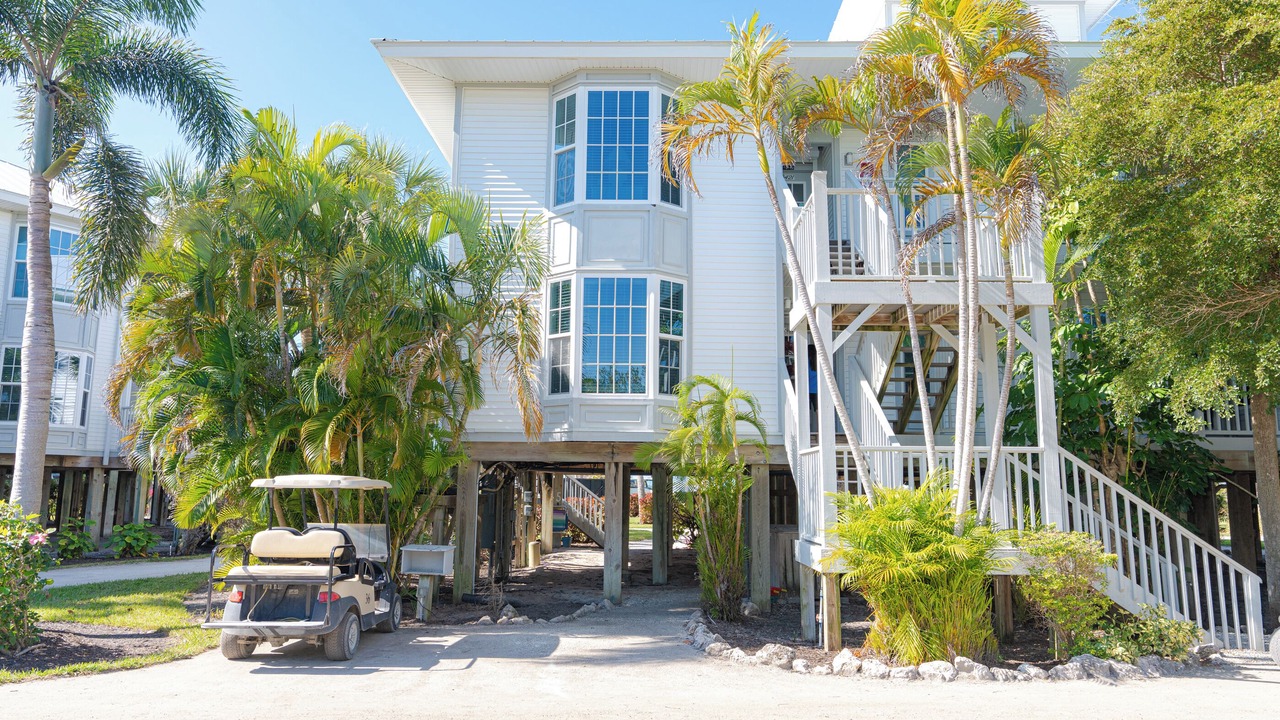 Photo of Outdoor in Palm Island