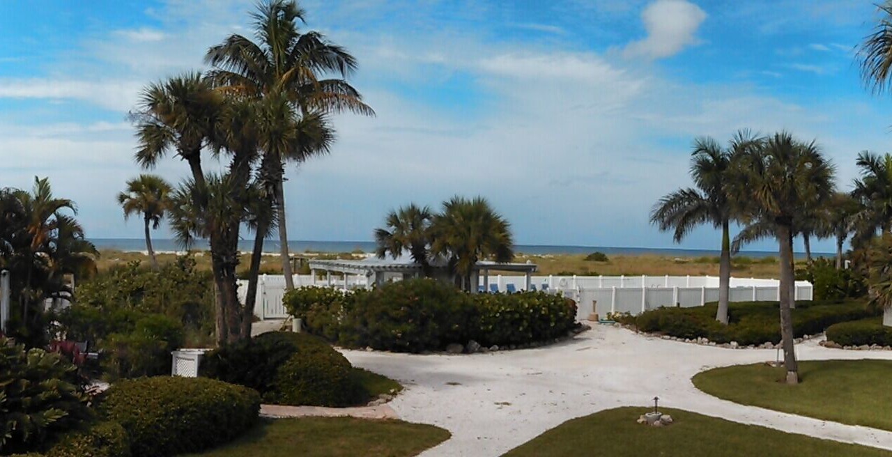 Photo of Outdoor in Palm Island