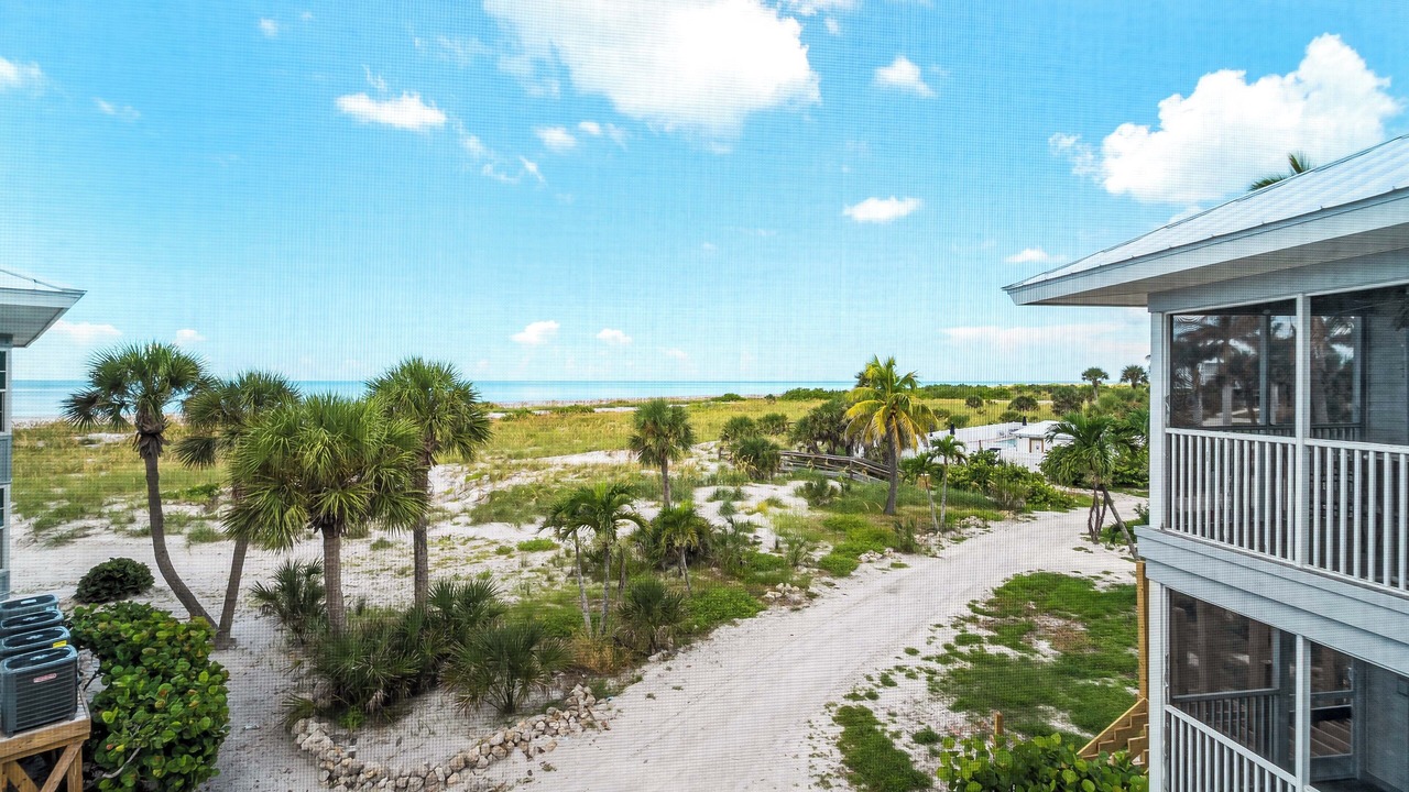 Photo of Outdoor in Palm Island
