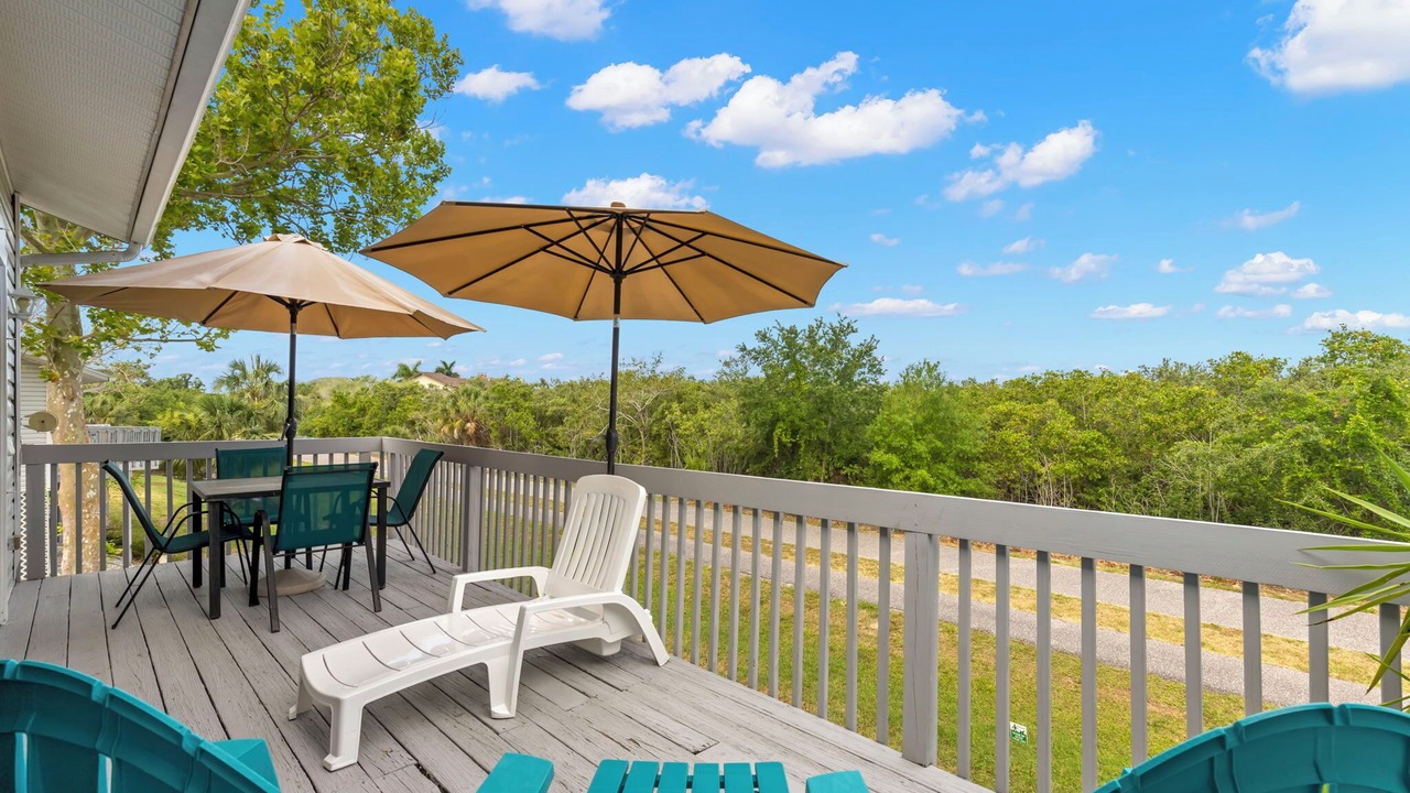 Photo of Outdoor in Palm Harbor