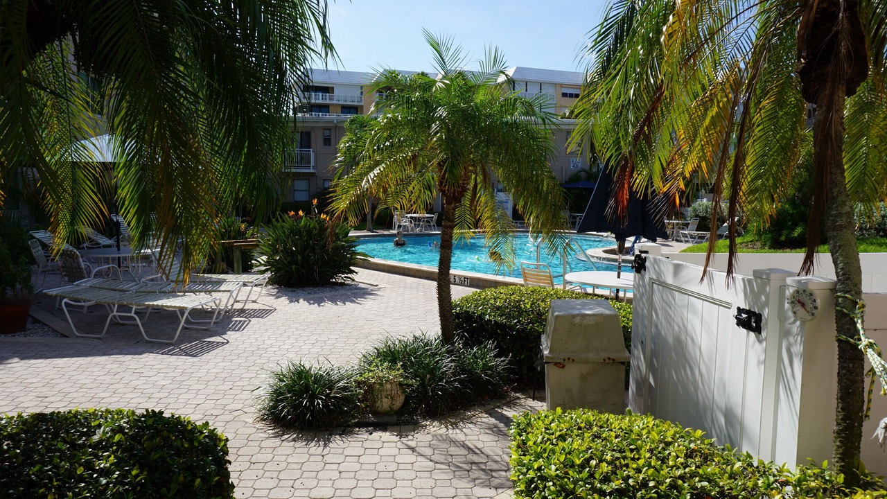 Photo of Outdoor in St. Pete Beach