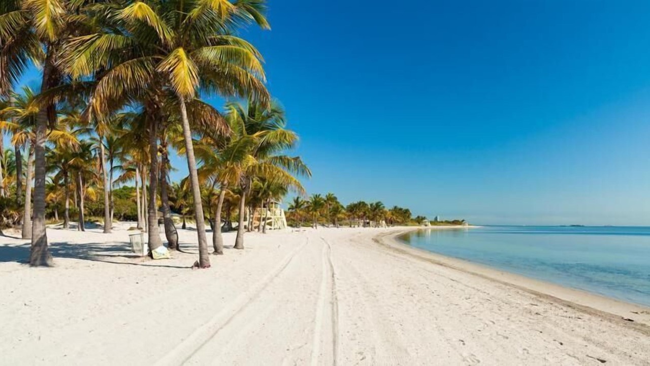 Photo of Others in Key Biscayne