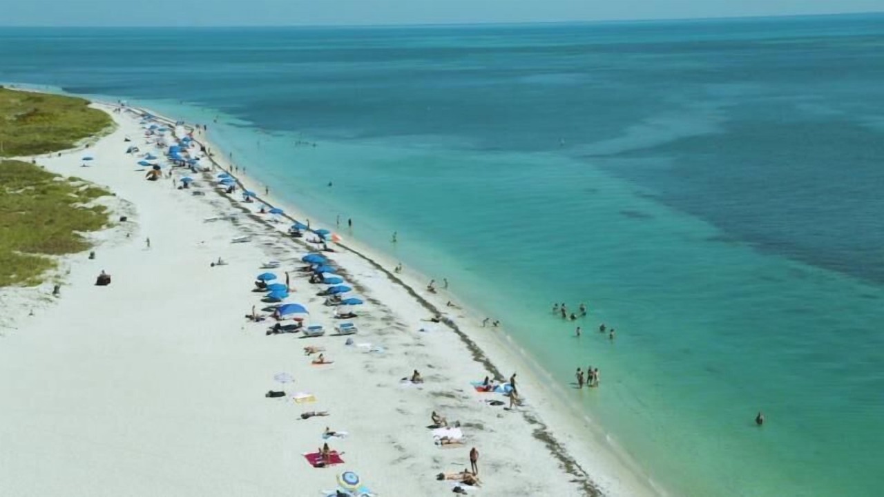 Photo of Others in Key Biscayne