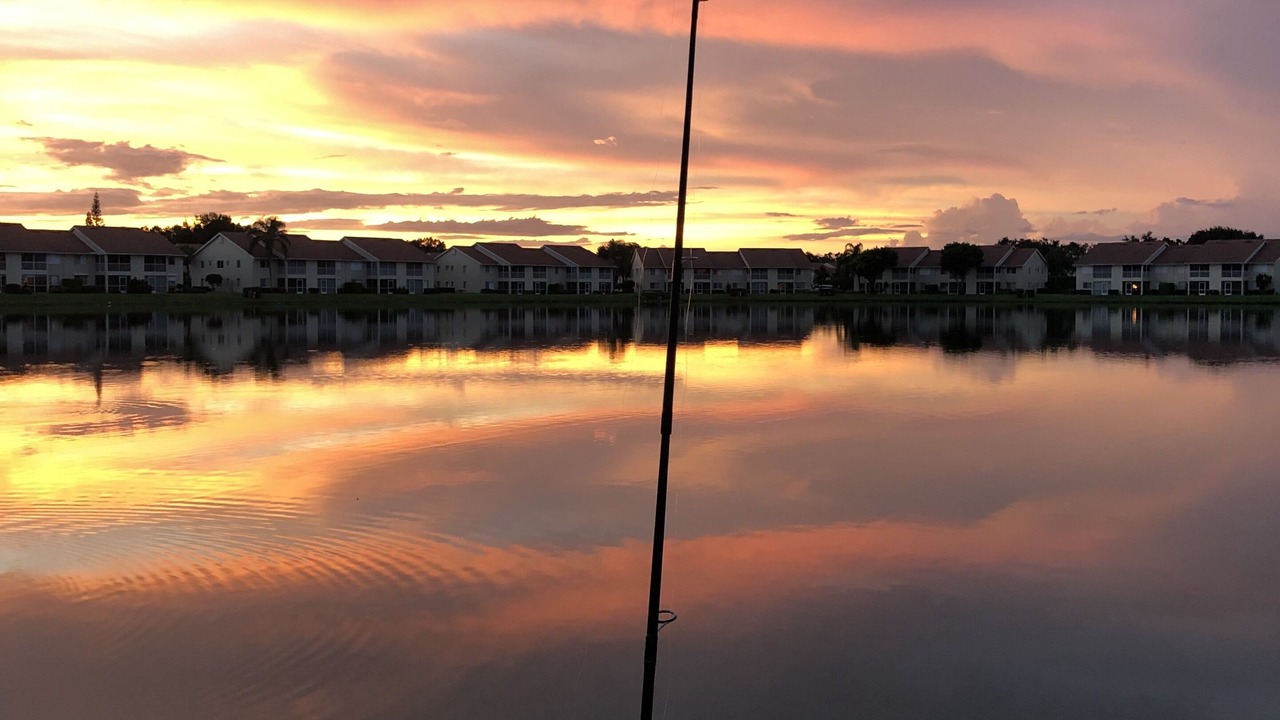 Photo of Outdoor in North Naples