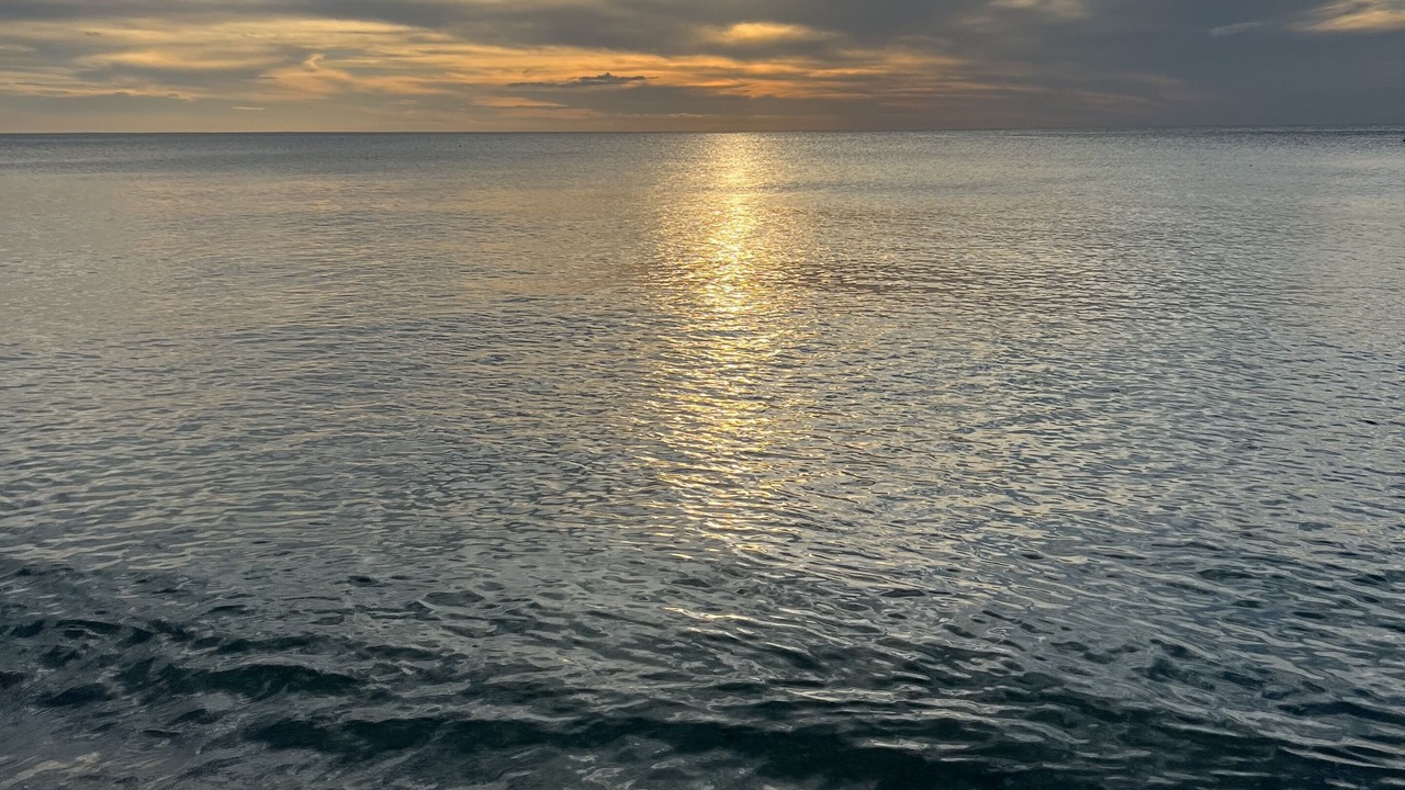 Photo of Others in North Naples