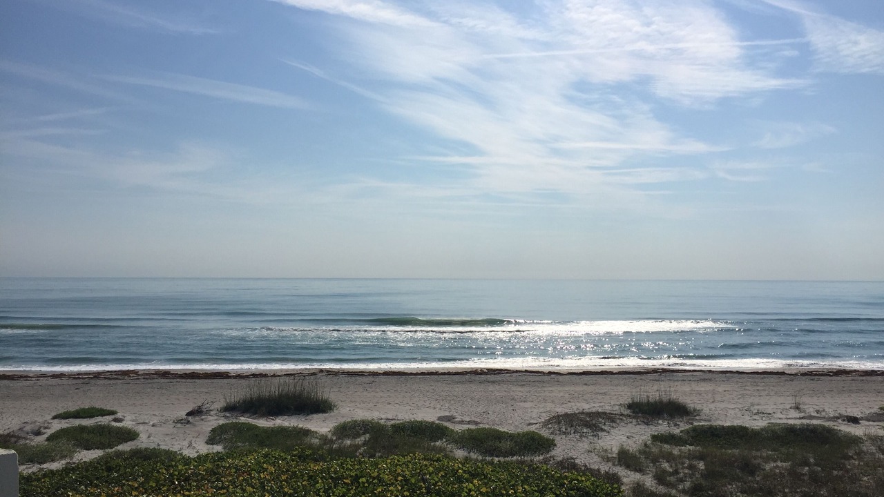 Photo of Others in Indialantic By The Sea