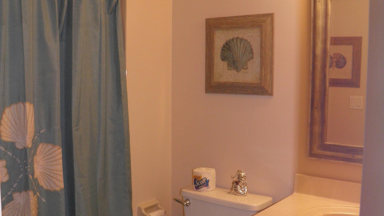 Photo of Bathroom in Palm Harbor