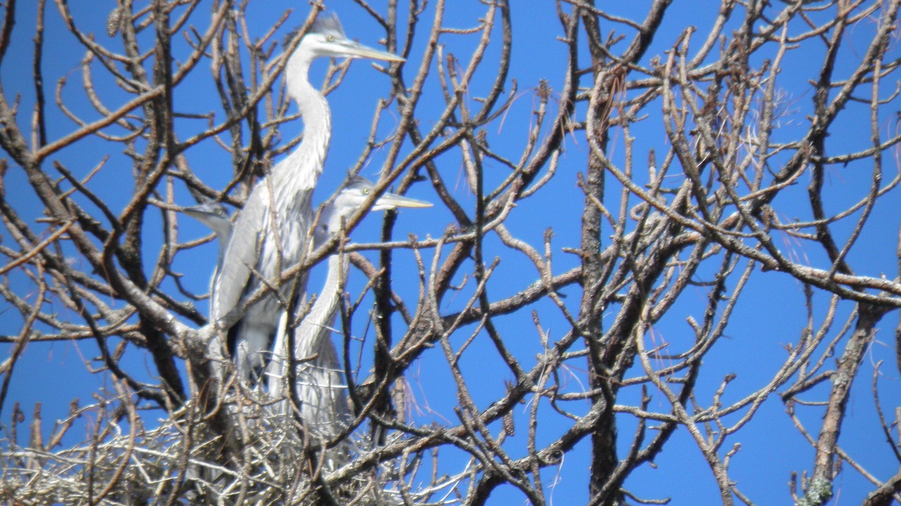 Photo of Outdoor in Palm Harbor