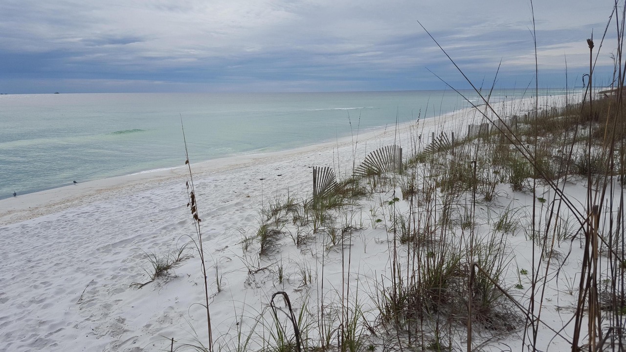 Photo of Others in Pensacola Beach