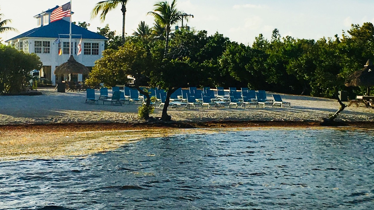 Photo of Others in Tavernier