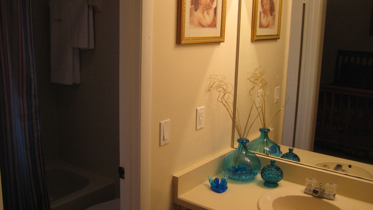 Photo of Bathroom in Palm Harbor
