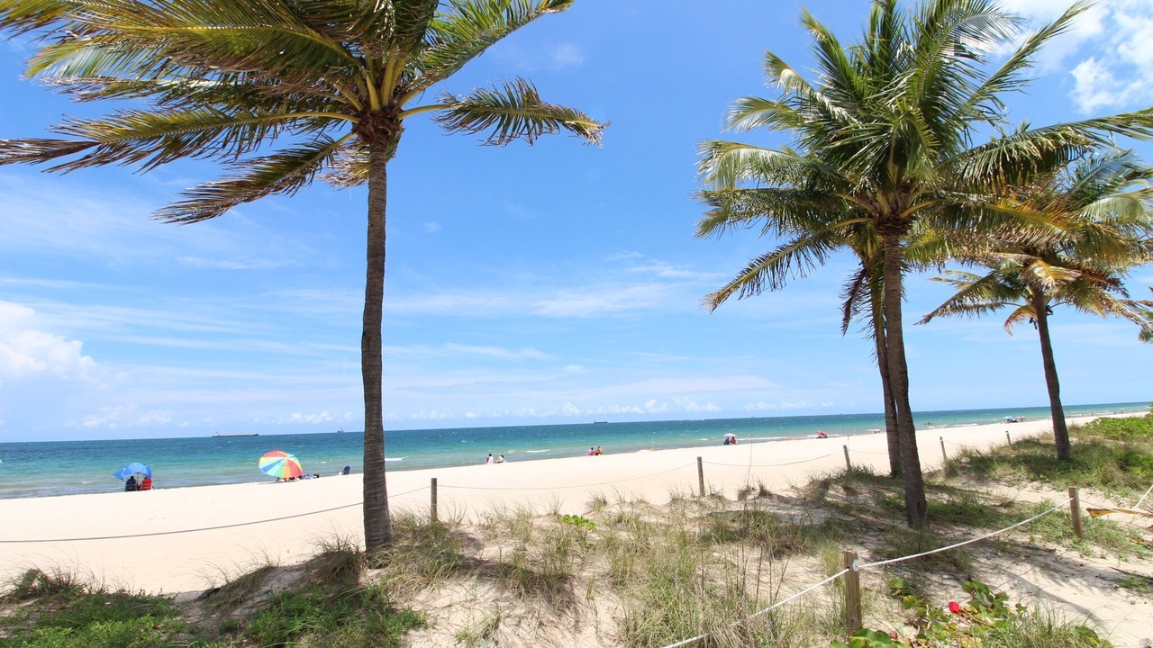 Photo of Others in East Fort Lauderdale