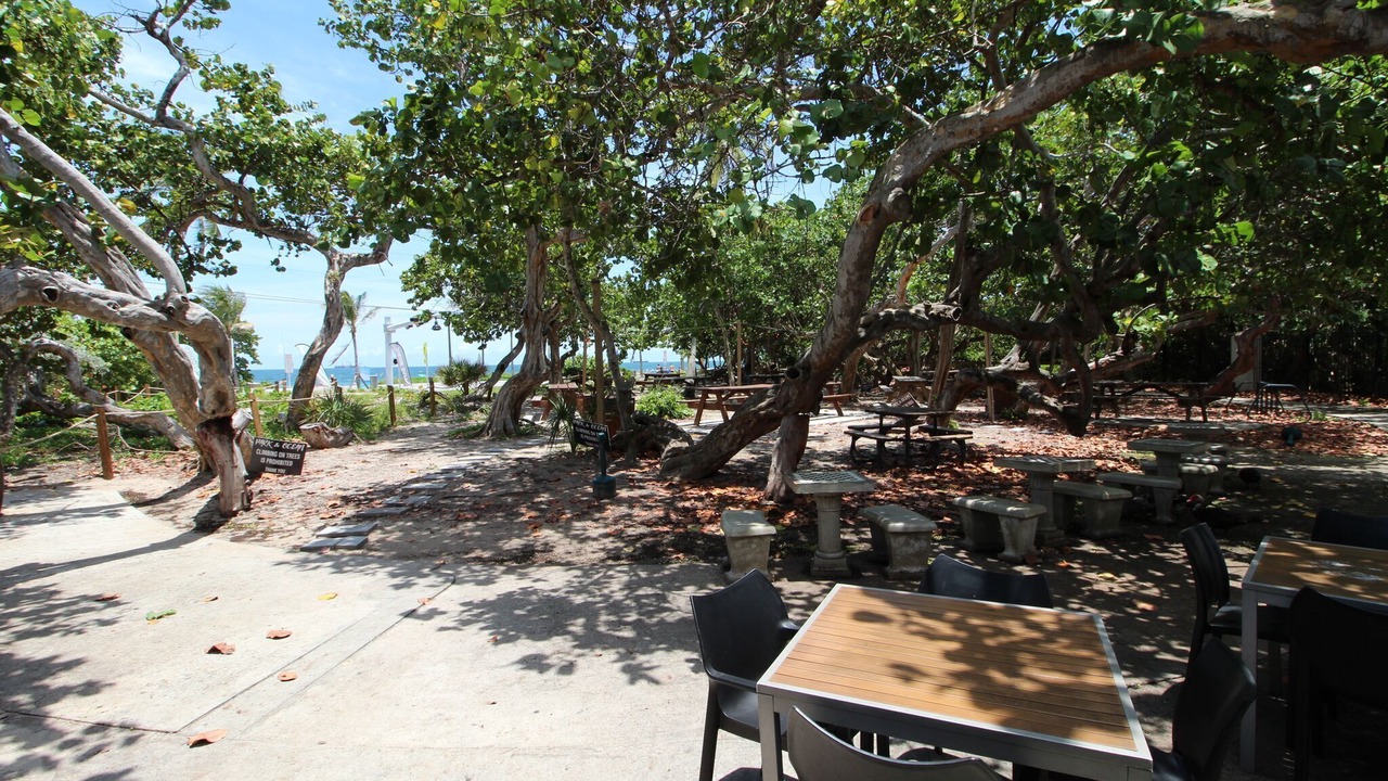 Photo of Outdoor in East Fort Lauderdale