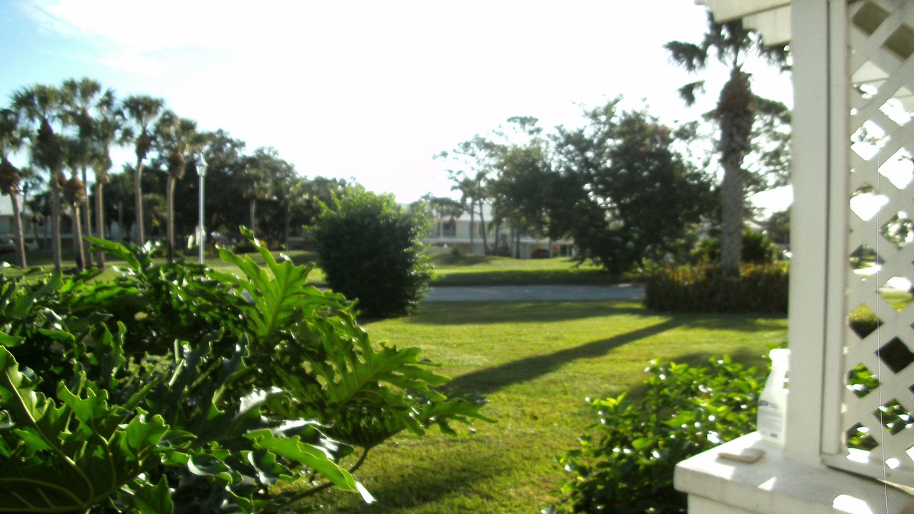 Photo of Outdoor in Plantation