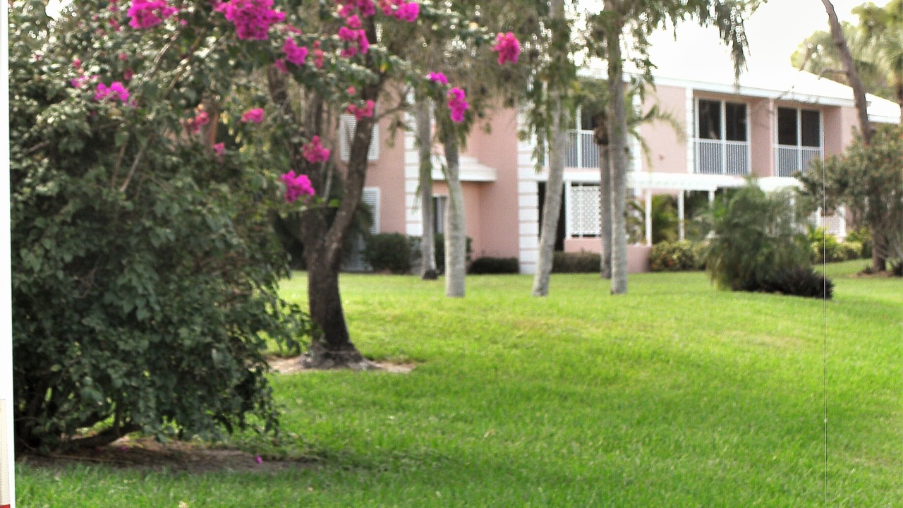Photo of Outdoor in Plantation