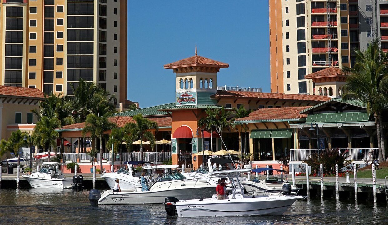 Photo of Others in Pelican