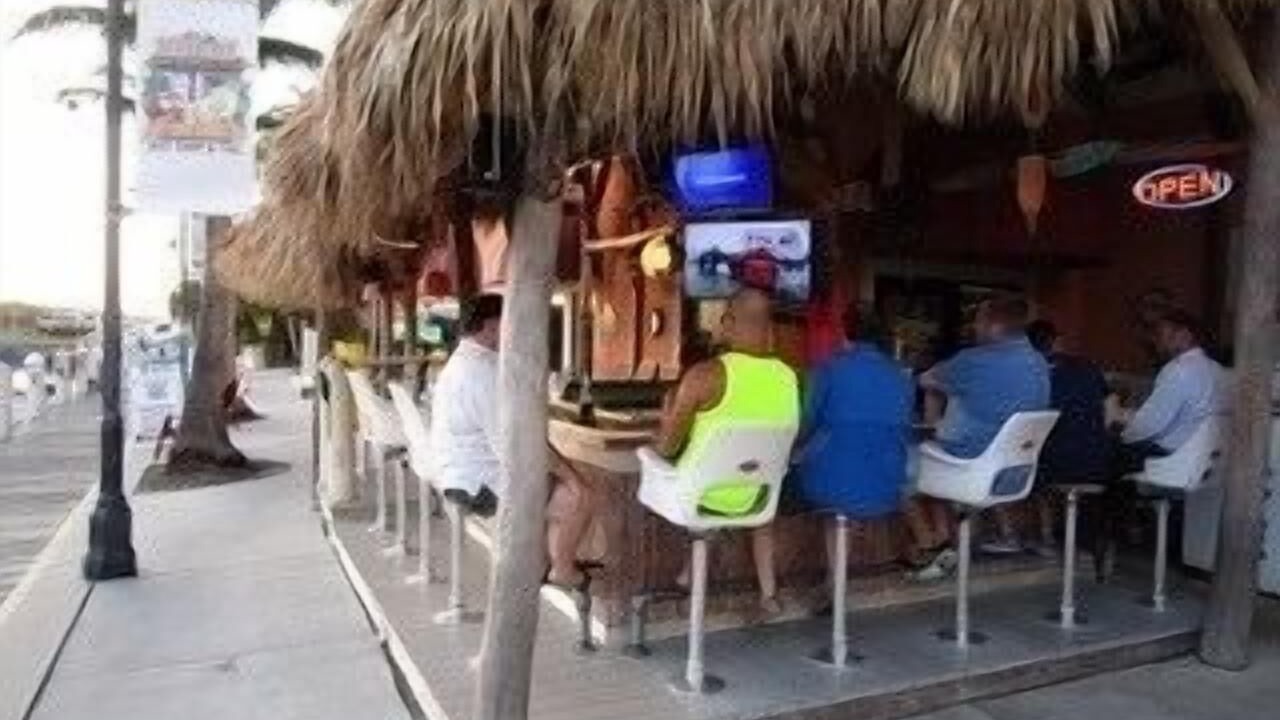 Photo of Others in Pelican