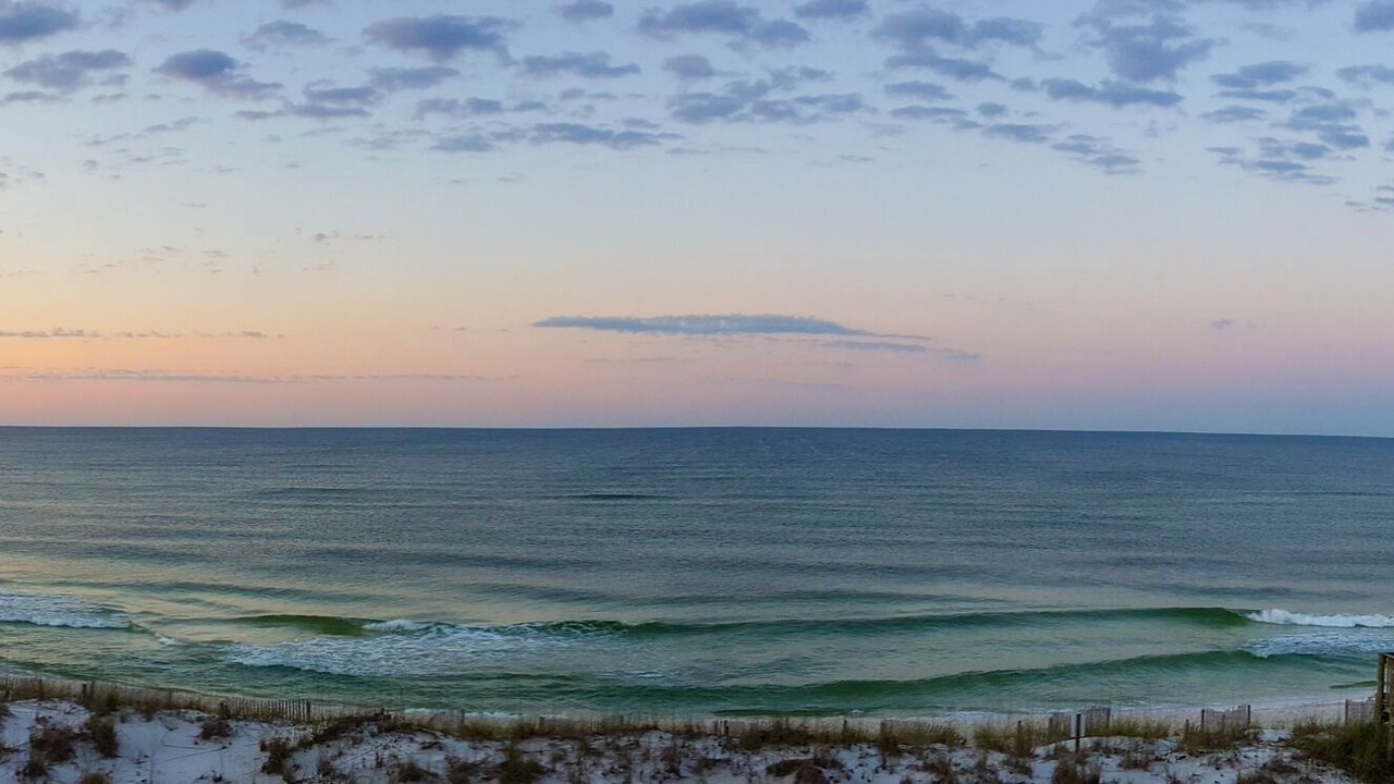 Photo of Others in Pensacola Beach