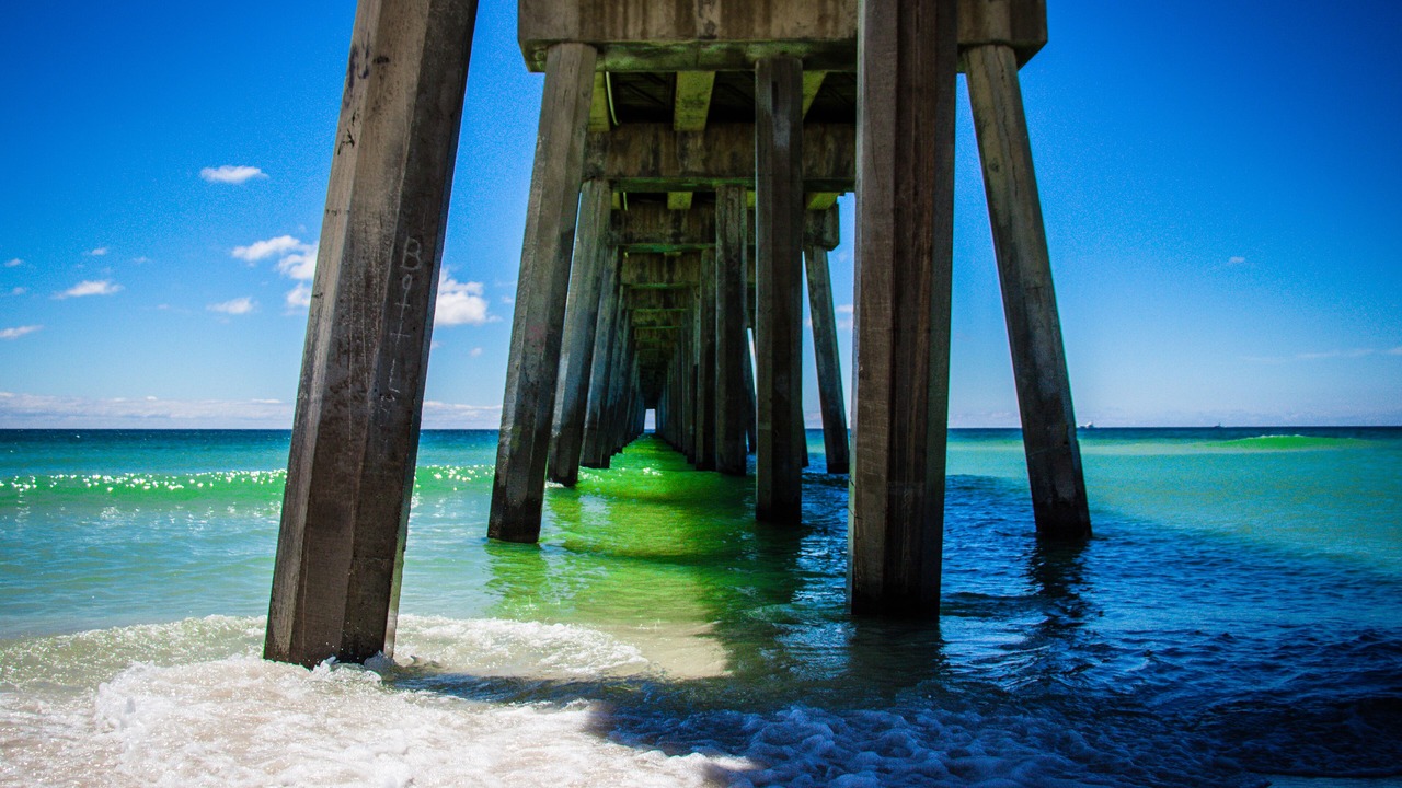 Photo of Others in Pensacola Beach