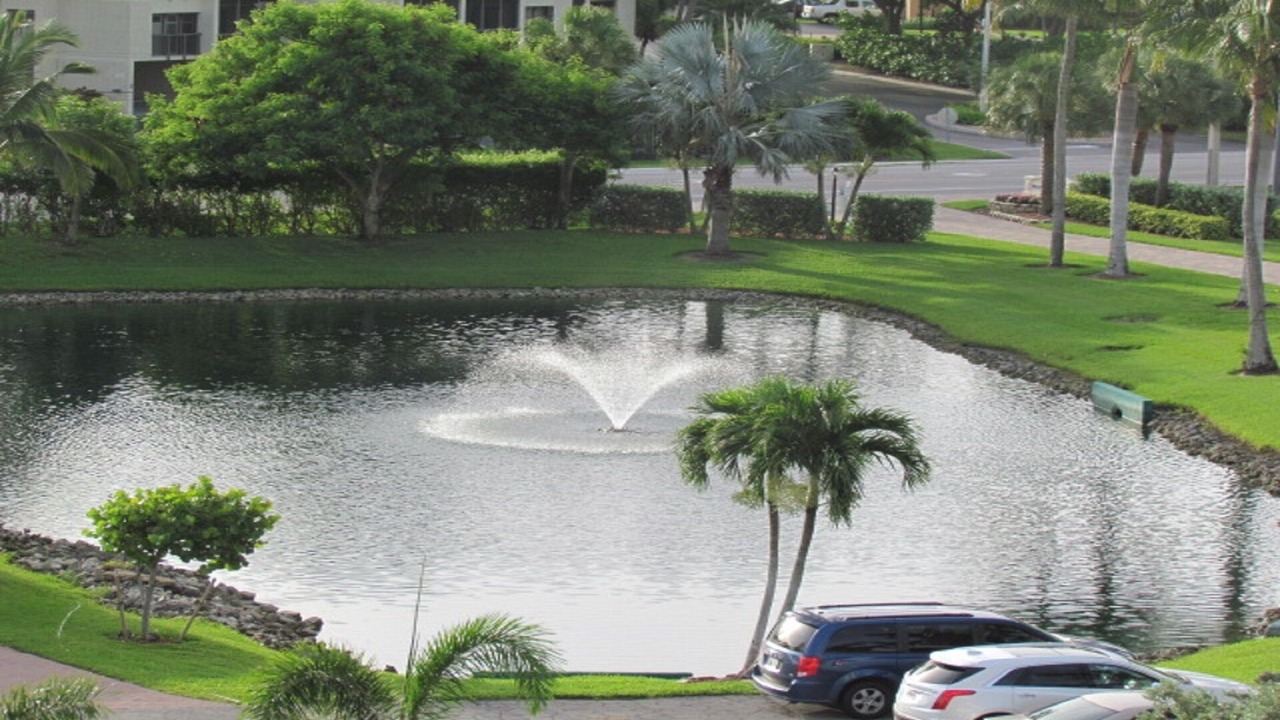 Photo of Outdoor in South Island