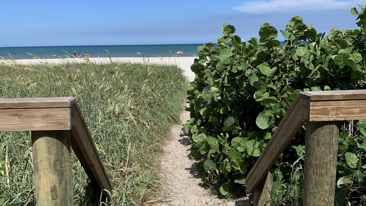 Photo of Others in Port Canaveral