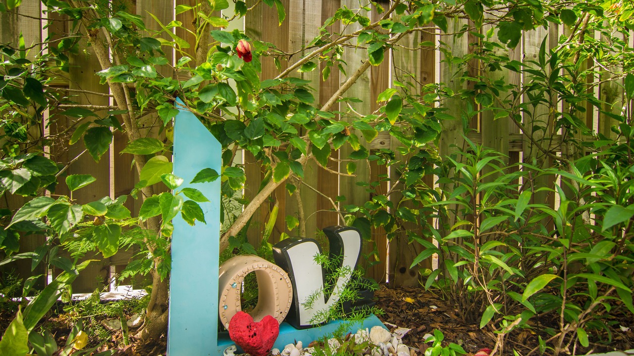 Photo of Outdoor in Juno Beach