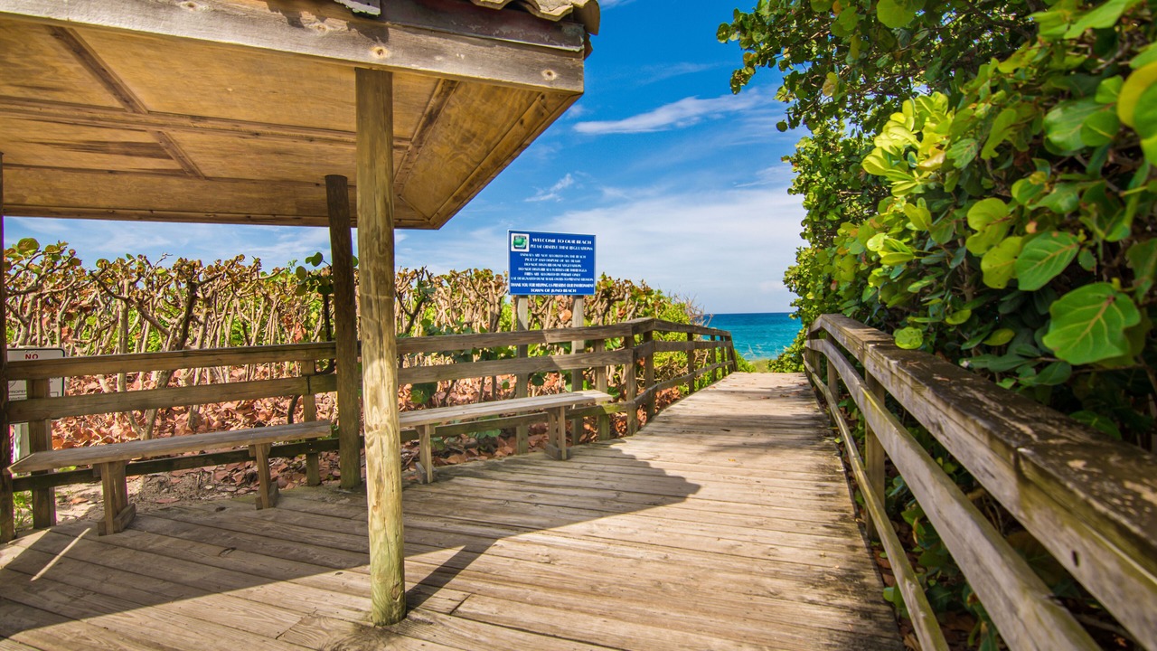 Photo of Outdoor in Juno Beach