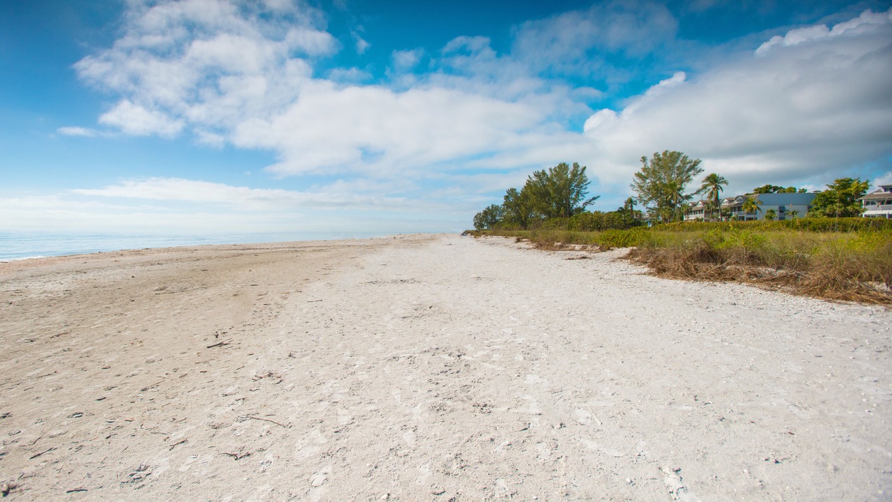 Photo of Others in Sanibel