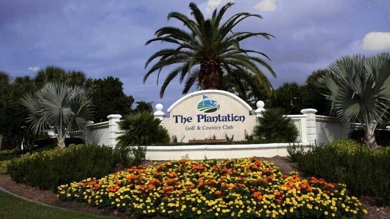 Photo of Others in Plantation