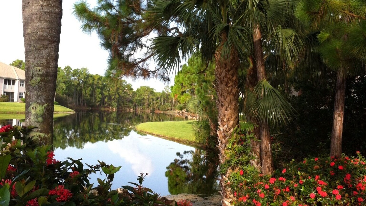 Photo of Outdoor in Imperial Golf Estates